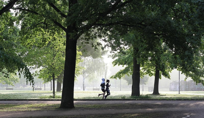 Fitness Runner
